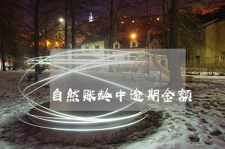 自然账龄中逾期金额 自然账龄中逾期金额
