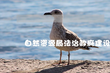 自然资源局法治政府建设工作总结 自然资源局法治政府建设工作总结