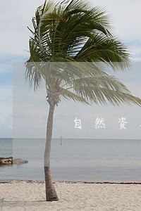 自然资源法律顾问难点 自然资源法律顾问难点