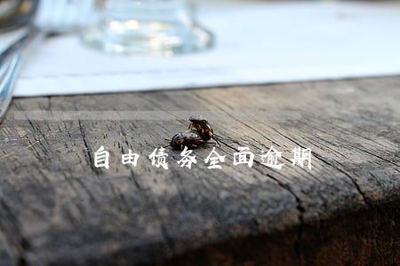 自由债务全面逾期 自由债务全面逾期