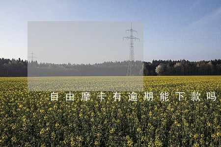 自由摩卡有逾期能下款吗 自由摩卡有逾期能下款吗