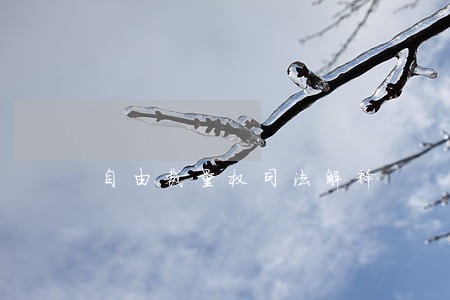 自由裁量权司法解释