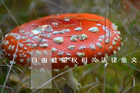 自由裁量权相关法律条文