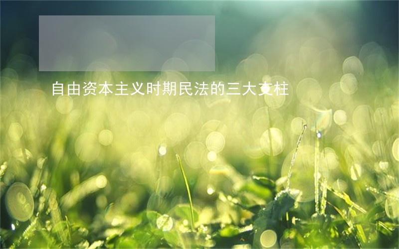 自由资本主义时期民法的三大支柱 自由资本主义时期民法的三大支柱