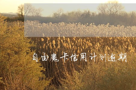 自由魔卡信用计划逾期 自由魔卡信用计划逾期