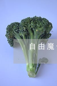 自由魔卡逾期多久打联系人 自由魔卡逾期多久打联系人