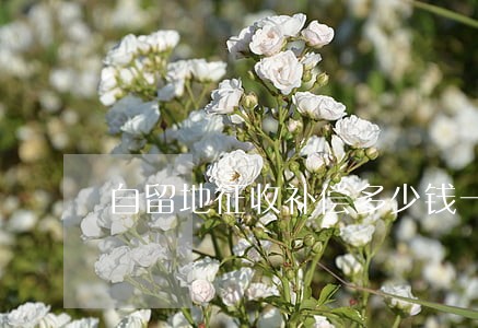 自留地征收补偿多少钱一亩 自留地征收补偿多少钱一亩