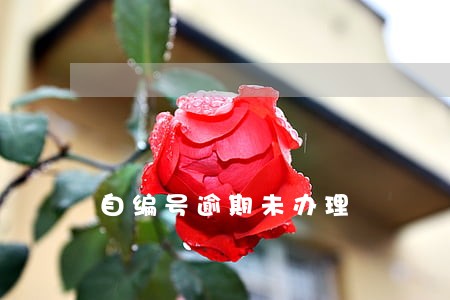 自编号逾期未办理 自编号逾期未办理