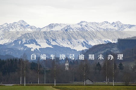 自编车牌号逾期未办理 自编车牌号逾期未办理