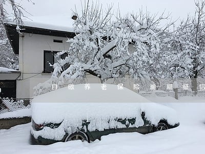 自缴养老保险逾期征信 自缴养老保险逾期征信