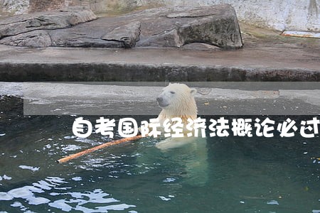自考国际经济法概论必过小抄 自考国际经济法概论必过小抄