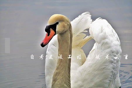 自考建设工程法规考试重点 自考建设工程法规考试重点