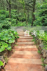 自考思想道德修养与法律基础真题 自考思想道德修养与法律基础真题