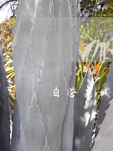 自营商城卖品牌商品盗图违法吗 自营商城卖品牌商品盗图违法吗