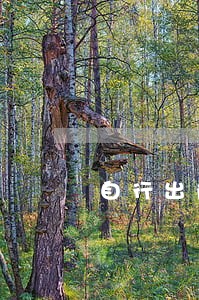 自行出院保证的法律效益 自行出院保证的法律效益