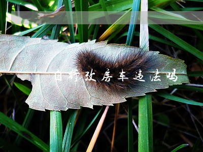 自行改房车违法吗 自行改房车违法吗