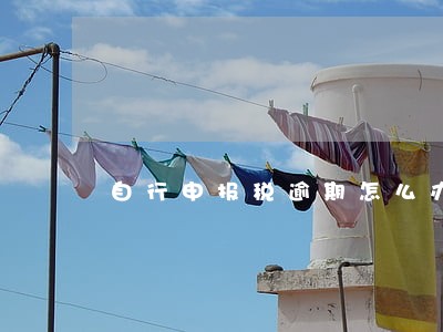 自行申报税逾期怎么办理 自行申报税逾期怎么办理