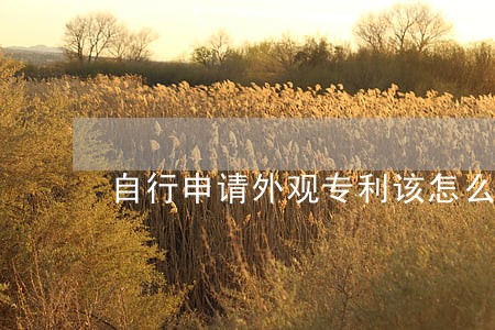 自行申请外观专利该怎么操作