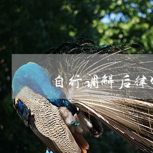 自行调解后律师费的付费问题 自行调解后律师费的付费问题