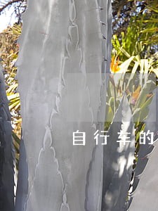 自行车的违法行为 自行车的违法行为
