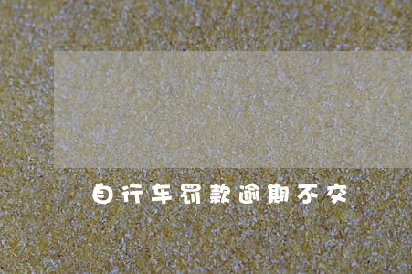 自行车罚款逾期不交 自行车罚款逾期不交