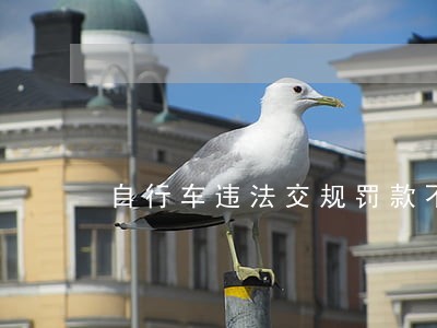 自行车违法交规罚款不交