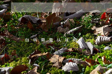 自诉需要认证吗 自诉需要认证吗