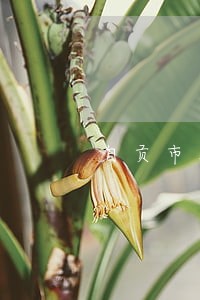 自贡市人民法院公告网 自贡市人民法院公告网