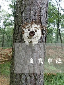 自贡市法院党性井冈山红色教育班 自贡市法院党性井冈山红色教育班