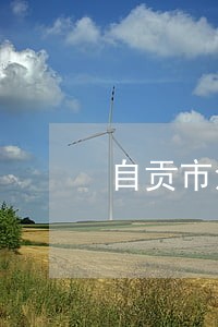 自贡市法院其他公告 自贡市法院其他公告