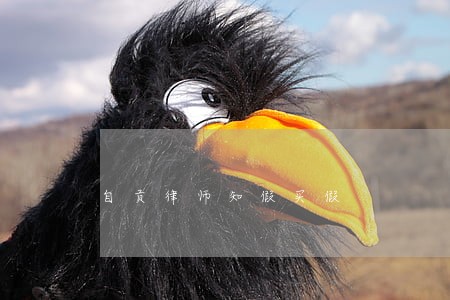 自贡律师知假买假 自贡律师知假买假