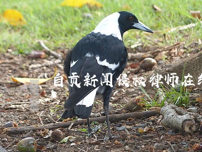 自贡新闻侵权律师在线免费咨询 自贡新闻侵权律师在线免费咨询