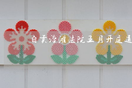 自贡沿滩法院五月开庭通告 自贡沿滩法院五月开庭通告
