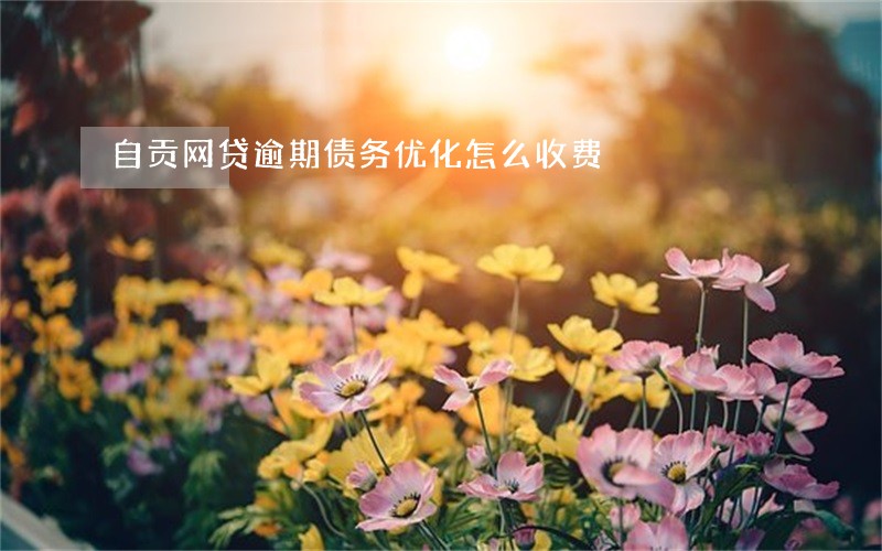 自贡网贷逾期债务优化怎么收费 自贡网贷逾期债务优化怎么收费