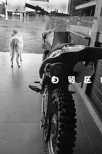 自贸区债务合同律师 自贸区债务合同律师