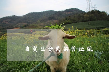 自贸区分类监管法规 自贸区分类监管法规