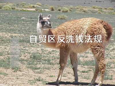 自贸区反洗钱法规 自贸区反洗钱法规