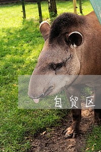 自贸区房地产律师事务所 自贸区房地产律师事务所