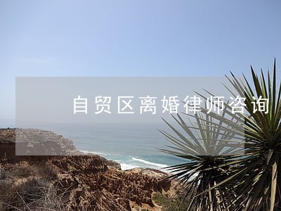 自贸区离婚律师咨询 自贸区离婚律师咨询