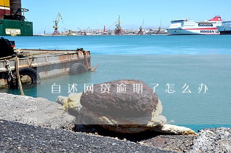 自述网贷逾期了怎么办 自述网贷逾期了怎么办