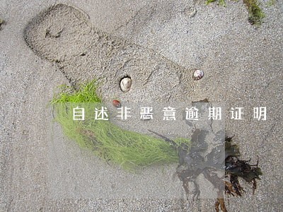 自述非恶意逾期证明 自述非恶意逾期证明