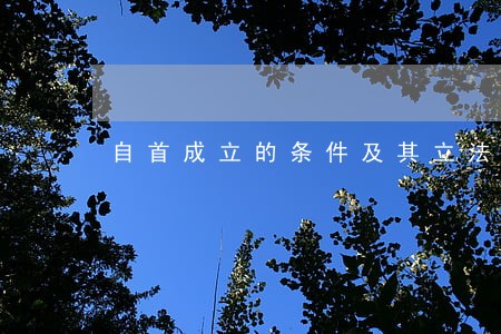自首成立的条件及其立法本意 自首成立的条件及其立法本意