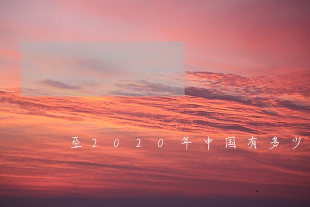 至2020年中国有多少律师 至2020年中国有多少律师