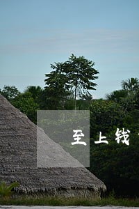 至上钱包逾期了怎么没人催 至上钱包逾期了怎么没人催