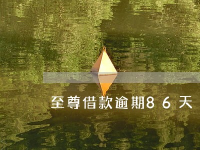 至尊借款逾期86天 至尊借款逾期86天