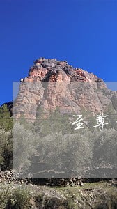 至尊借款逾期二十天会怎么样 至尊借款逾期二十天会怎么样