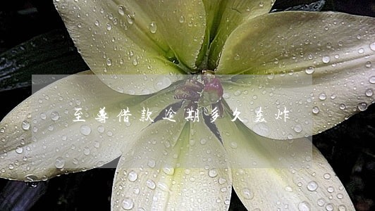 至尊借款逾期多久轰炸 至尊借款逾期多久轰炸