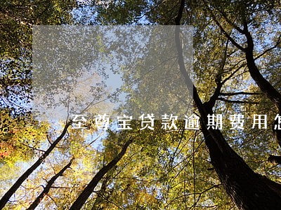 至尊宝贷款逾期费用怎么算 至尊宝贷款逾期费用怎么算