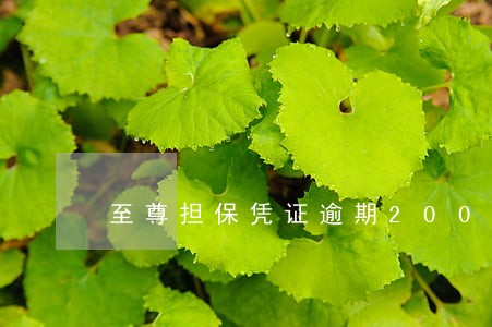 至尊担保凭证逾期200天