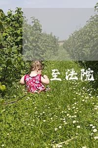 至法院作出裁定重整之日 至法院作出裁定重整之日